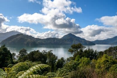 Lot 8-9 Whatanihi Pelorus, Marlborough Sounds, Marlborough, Marlborough | Tall Poppy 