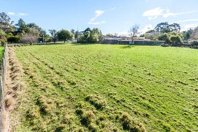 569 Wellington Rd, Marton, Rangitikei, Manawatu | Tall Poppy 