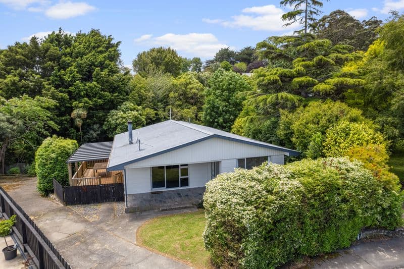 5 Davidson Crescent, Pahiatua, Tararua