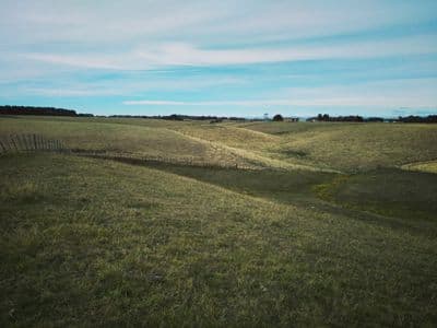 80D Cemetery Road, Sanson, Manawatu, Manawatu | Tall Poppy 