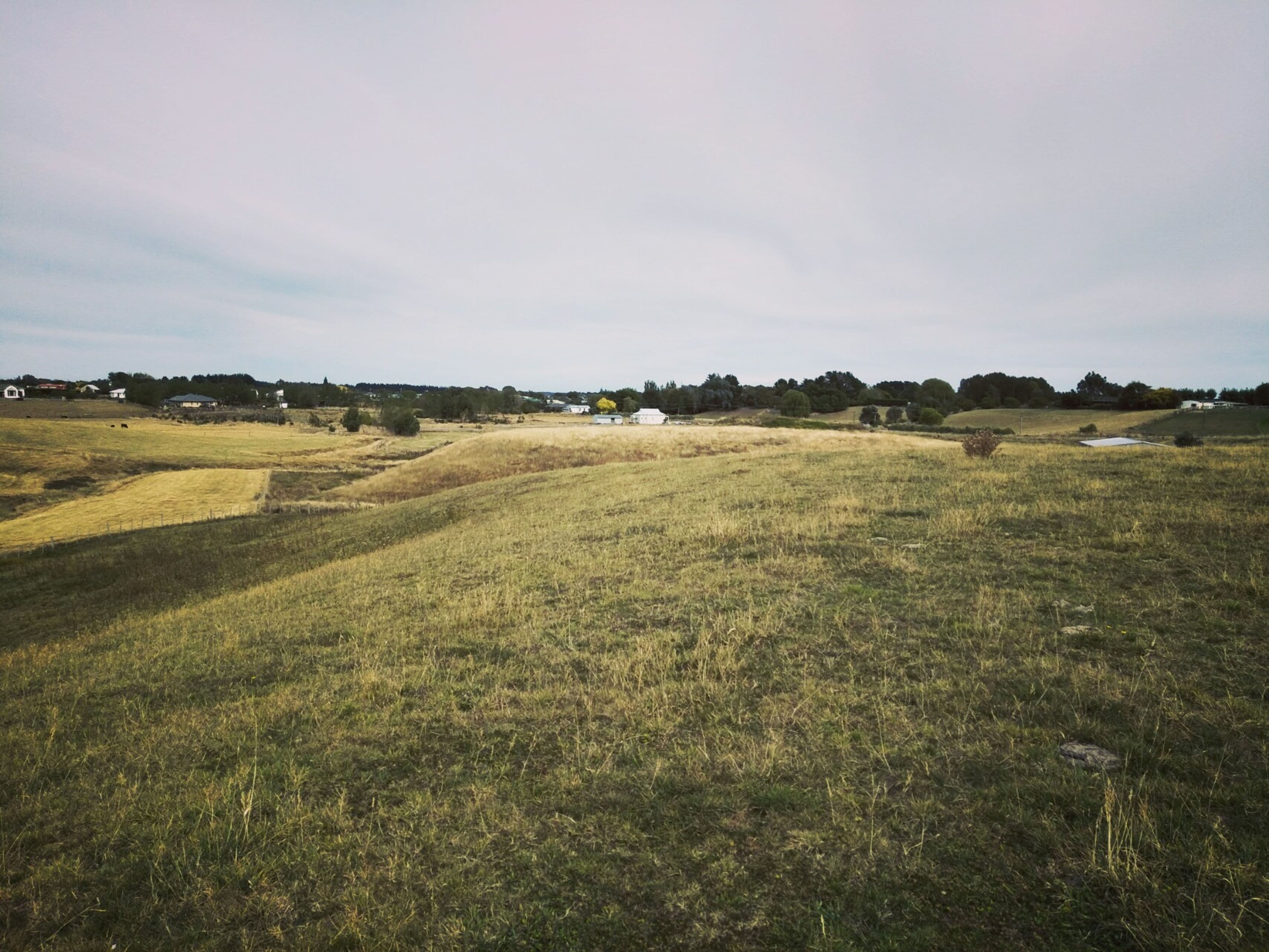 80D Cemetery Road, Sanson, Manawatu, Manawatu | Tall Poppy 