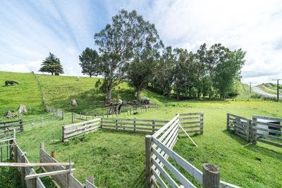 187 Cemetery Rd, Sanson, Manawatu, Manawatu | Tall Poppy 