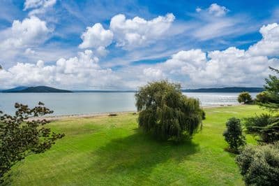 119 State Highway 33, Tikitere, Rotorua, Bay of Plenty | Tall Poppy 