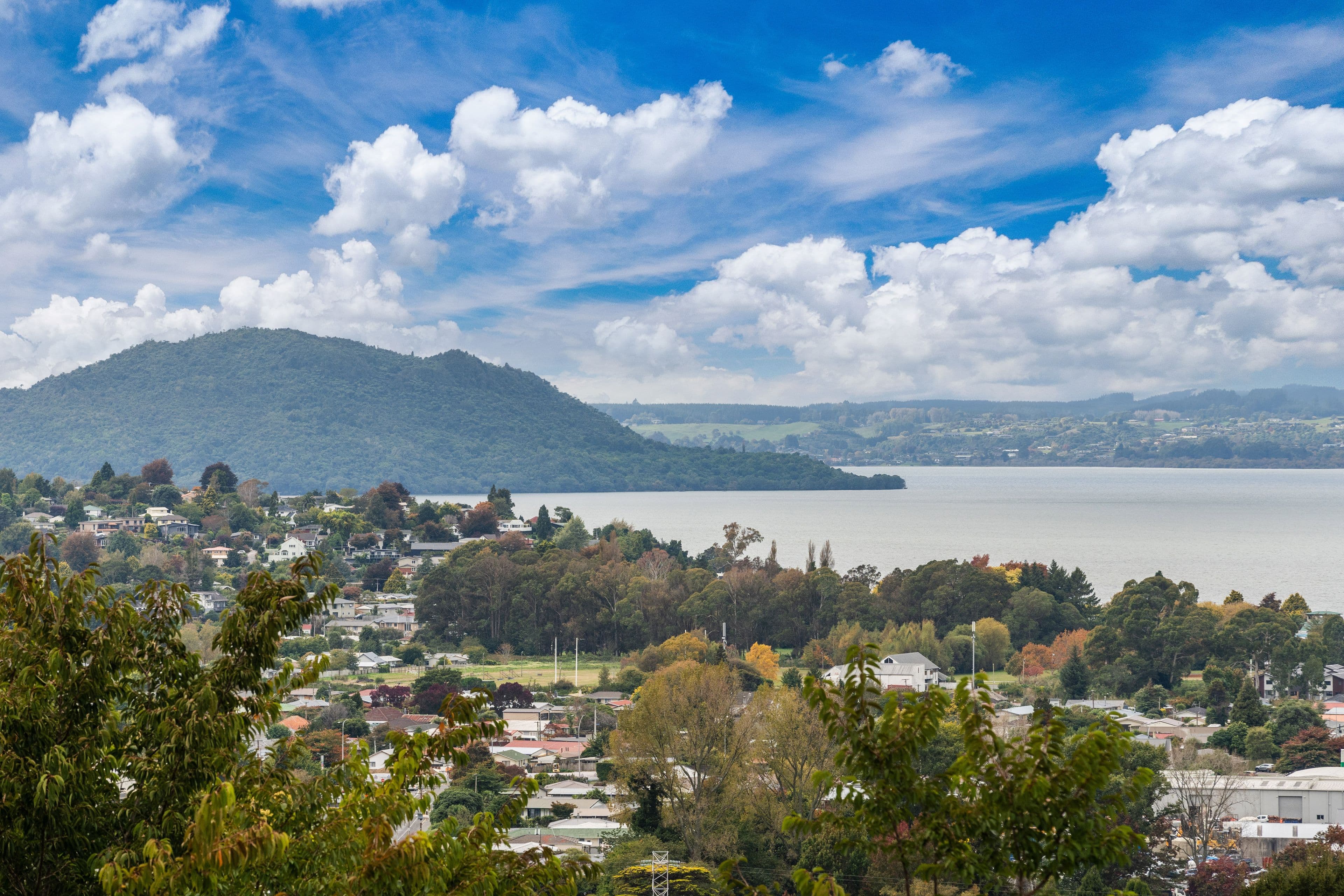 31 Russell Crescent, Western Heights, Rotorua, Bay of Plenty | Tall Poppy 