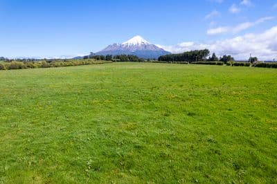 Lot 7 and 8 Pembroke Road, Stratford, Stratford, Taranaki | Tall Poppy 