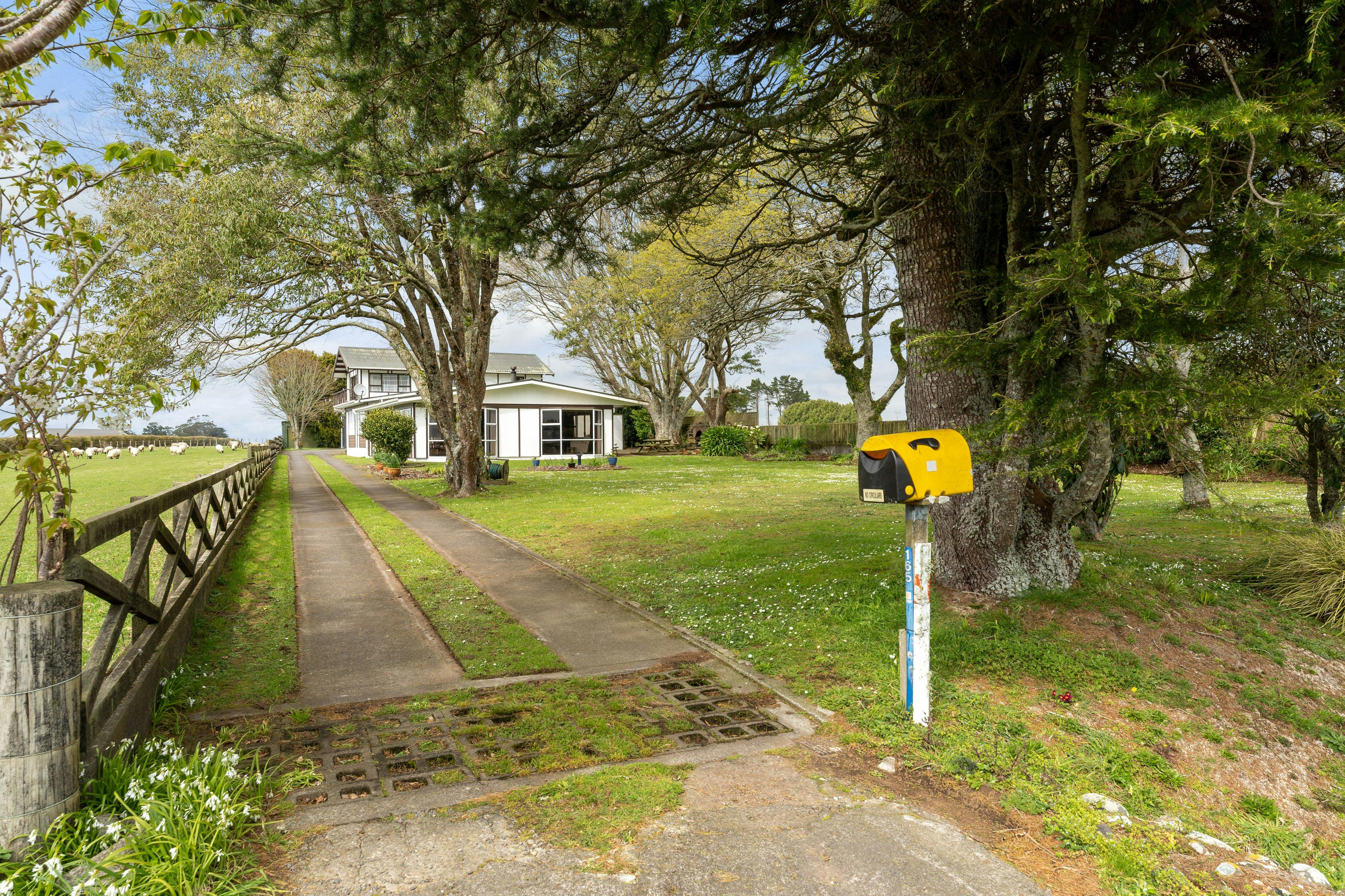 165 Opunake Road, Stratford, Stratford, Taranaki | Tall Poppy 