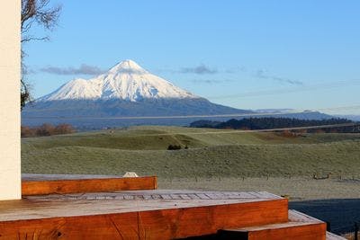 669 Skinner Road, Stratford, Stratford, Taranaki | Tall Poppy 