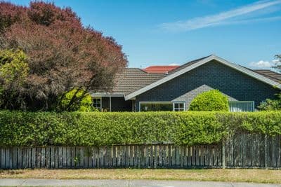 59 Kiddle Drive, Hilltop, Taupo, Waikato | Tall Poppy 