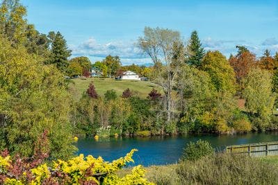 11 Sinton Row, Nukuhau, Taupo, Waikato | Tall Poppy 