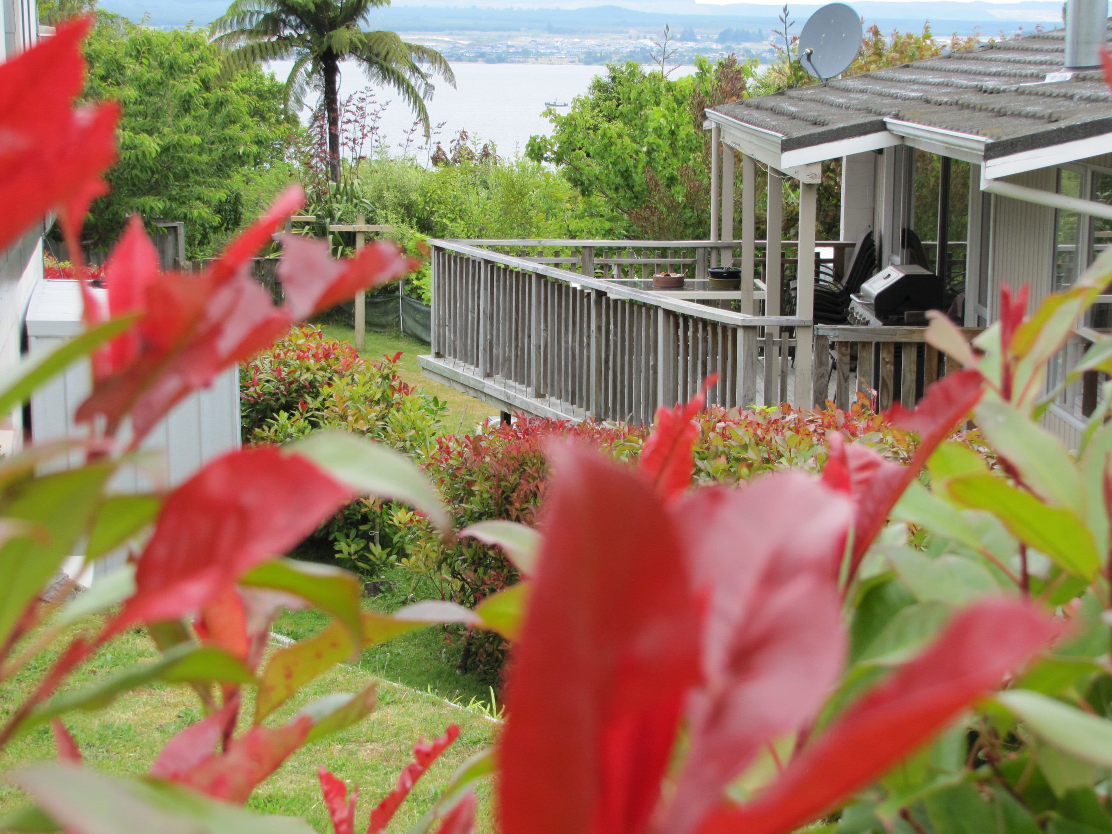 7A Isobel Street, Acacia Bay, Taupo, Waikato | Tall Poppy 