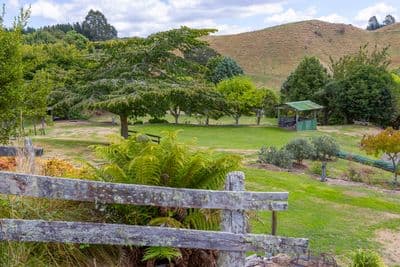 158 Whangamata Road, Oruanui, Taupo, Waikato | Tall Poppy 