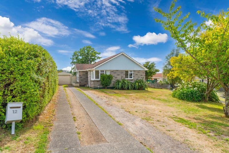 12 Nikau Street, Wairakei, Taupo