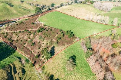 317 State highway 5, Wairakei, Taupo, Waikato | Tall Poppy 