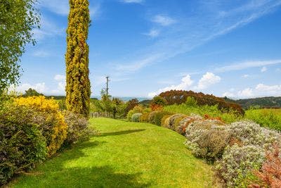 1916 Whangamata Road, Marotiri, Taupo, Waikato | Tall Poppy 