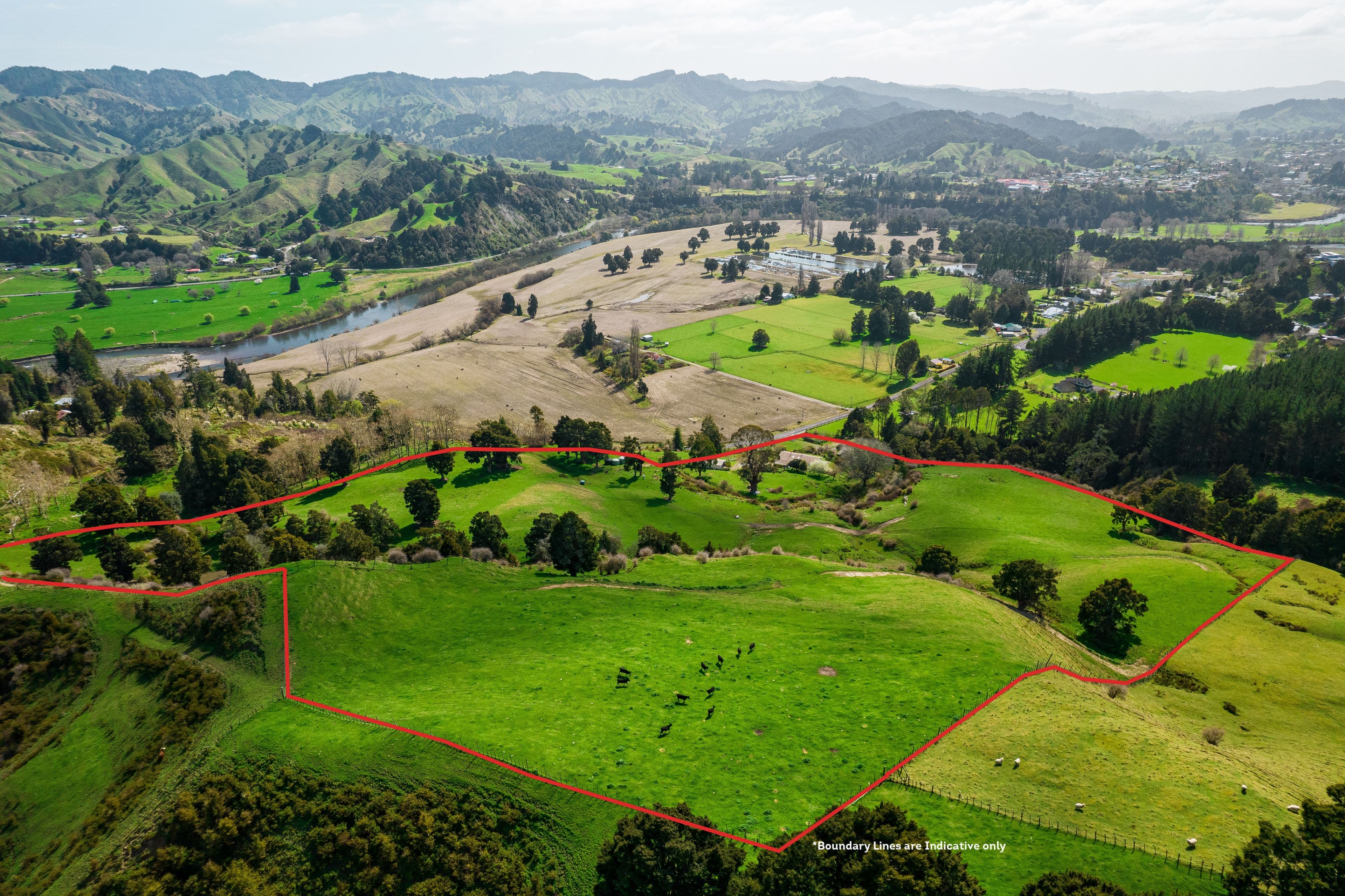 153 Hikumutu Road, Taumarunui, Ruapehu, Wanganui | Tall Poppy 