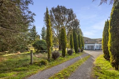 456 State Highway 49, Ohakune, Ruapehu, Wanganui | Tall Poppy 