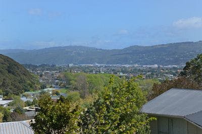 42 Mission Street, Waterloo, Lower Hutt City, Wellington | Tall Poppy 