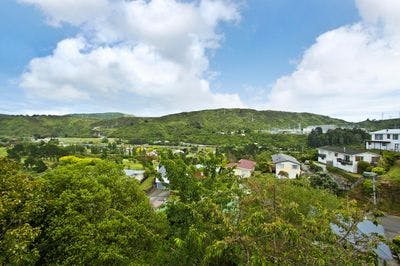 2  Lord St, Stokes Valley, Lower Hutt City, Wellington | Tall Poppy 