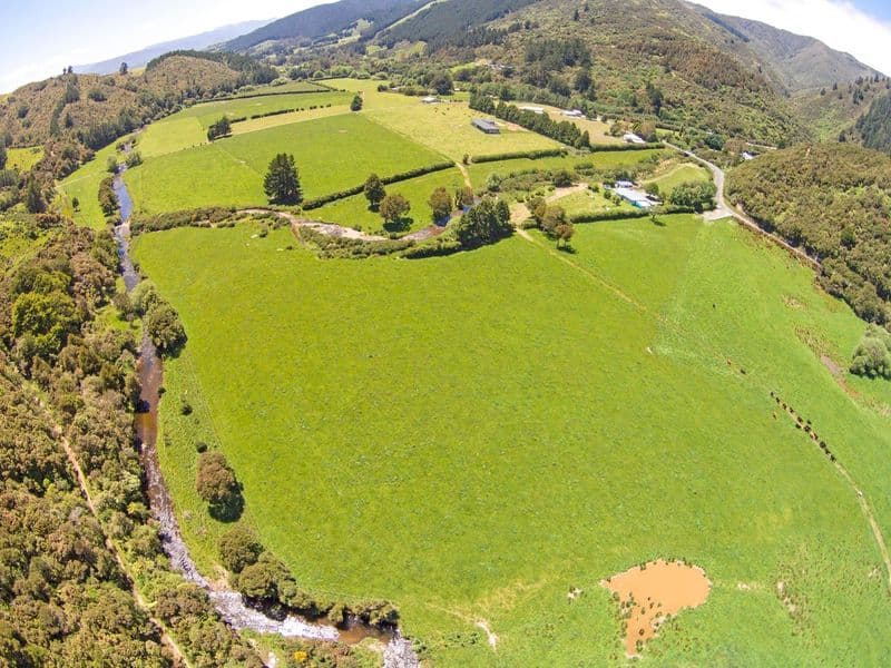 438 Whitemans Valley Road, Whitemans Valley, Upper Hutt City, Wellington | Tall Poppy 