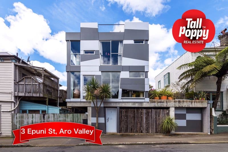 3 Epuni St, Aro Valley, Wellington City, Wellington | Tall Poppy 