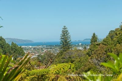 36 Natusch Road, Belmont, Lower Hutt City, Wellington | Tall Poppy 