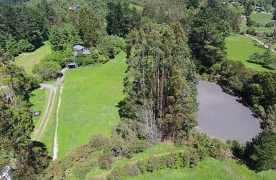 1063a Blue Mountains Road, Blue Mountains, Upper Hutt City, Wellington | Tall Poppy 