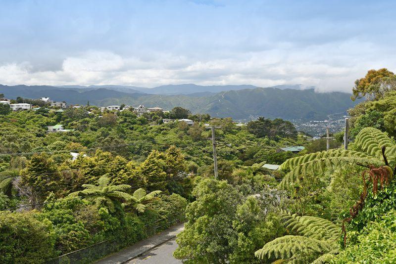 165 Miromiro Road, Normandale, Lower Hutt City, Wellington | Tall Poppy 