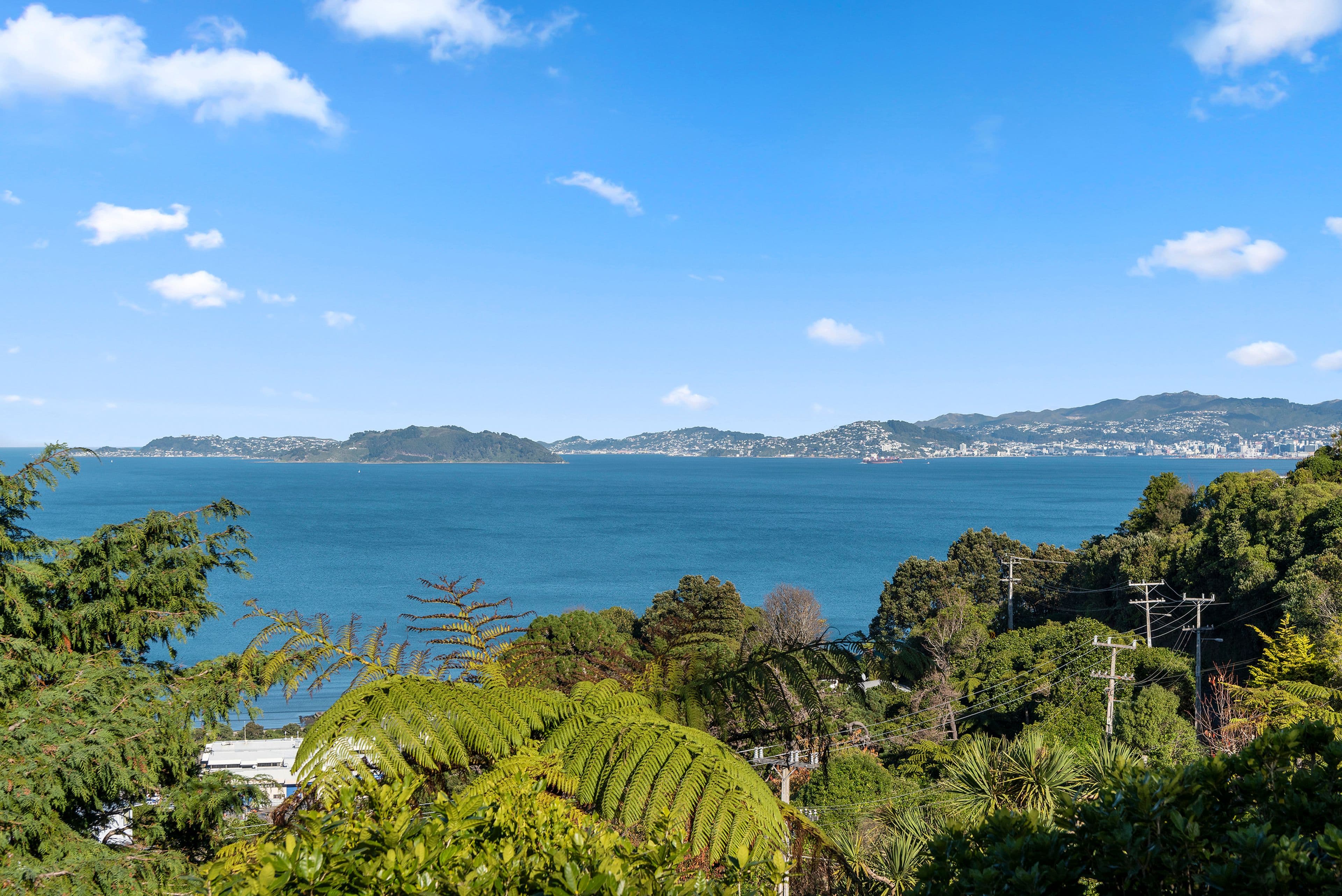 25 Singers Road, Korokoro, Lower Hutt City, Wellington | Tall Poppy 