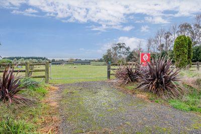 126 Lindsay Road, Levin, Horowhenua, Manawatu | Tall Poppy 