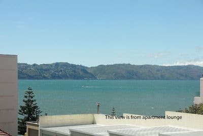 1B/20 Oriental Terrace, Oriental Bay, Wellington City, Wellington | Tall Poppy 