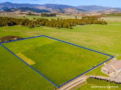 99 Muhunoa West, Ohau, Horowhenua, Manawatu | Tall Poppy 