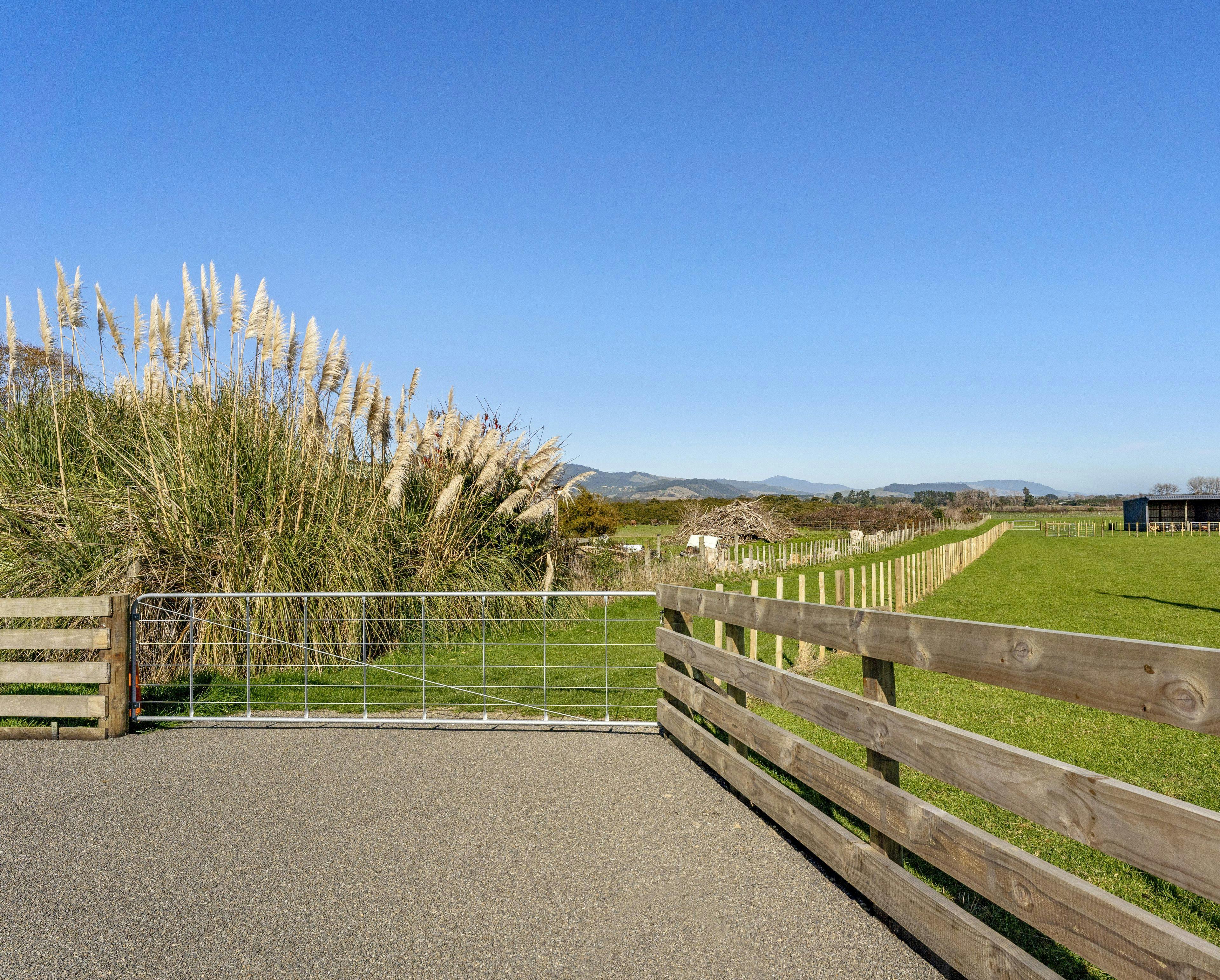 99 Muhunoa West, Ohau, Horowhenua, Manawatu | Tall Poppy 