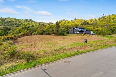 31 Wilson Way, Waikanae, Kapiti Coast, Wellington | Tall Poppy 