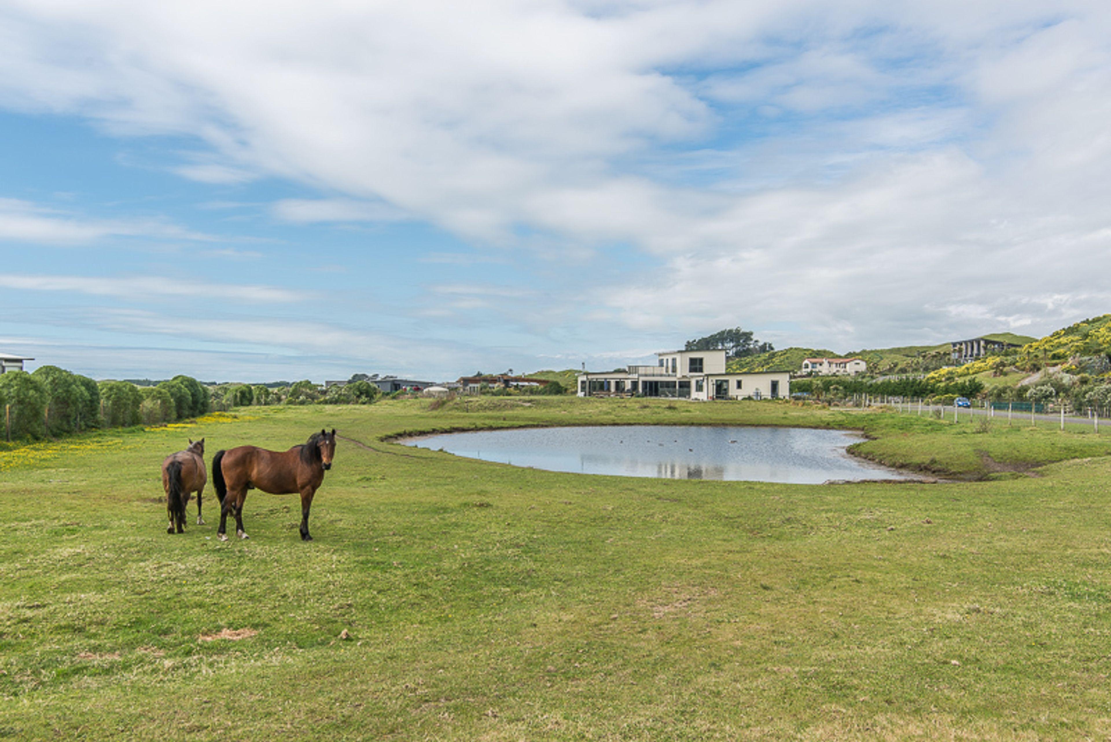 27 Raukawa Road, Peka Peka, Kapiti Coast, Wellington | Tall Poppy 