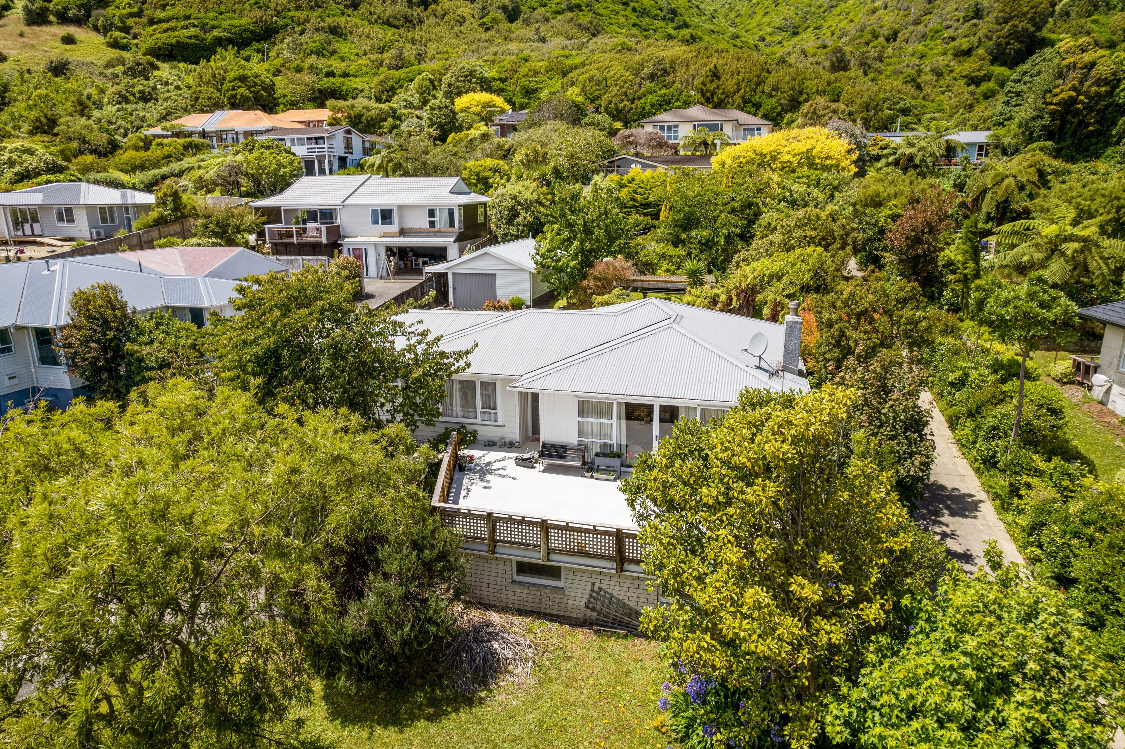 21 Tui Crescent, Waikanae, Kapiti Coast, Wellington | Tall Poppy 