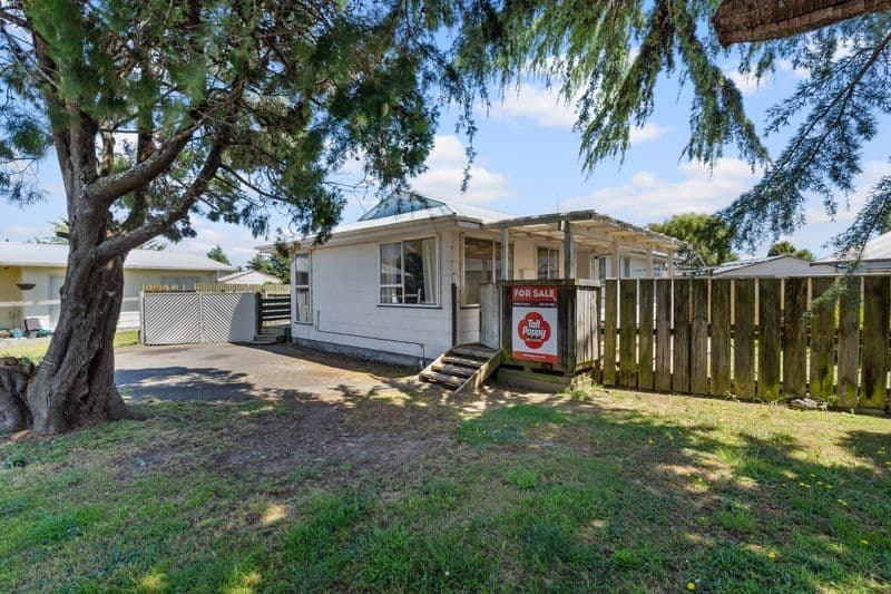 27 Heather Street, Levin, Horowhenua