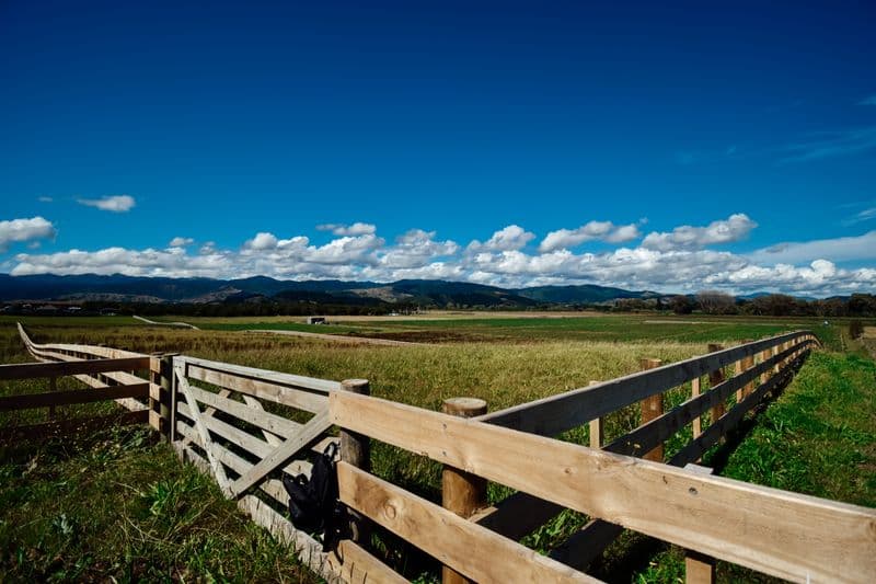 Lot 6 111 Muhunoa West Road, Ohau, Horowhenua