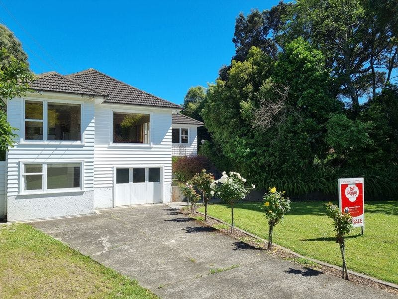 81 Amohia Street, Paraparaumu, Kapiti Coast