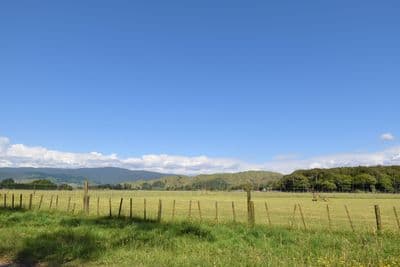 50 Catley Road, Te Horo Beach, Kapiti Coast, Wellington | Tall Poppy 