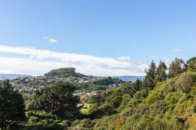 71 Staithes Drive North , Whitby, Porirua City, Wellington | Tall Poppy 