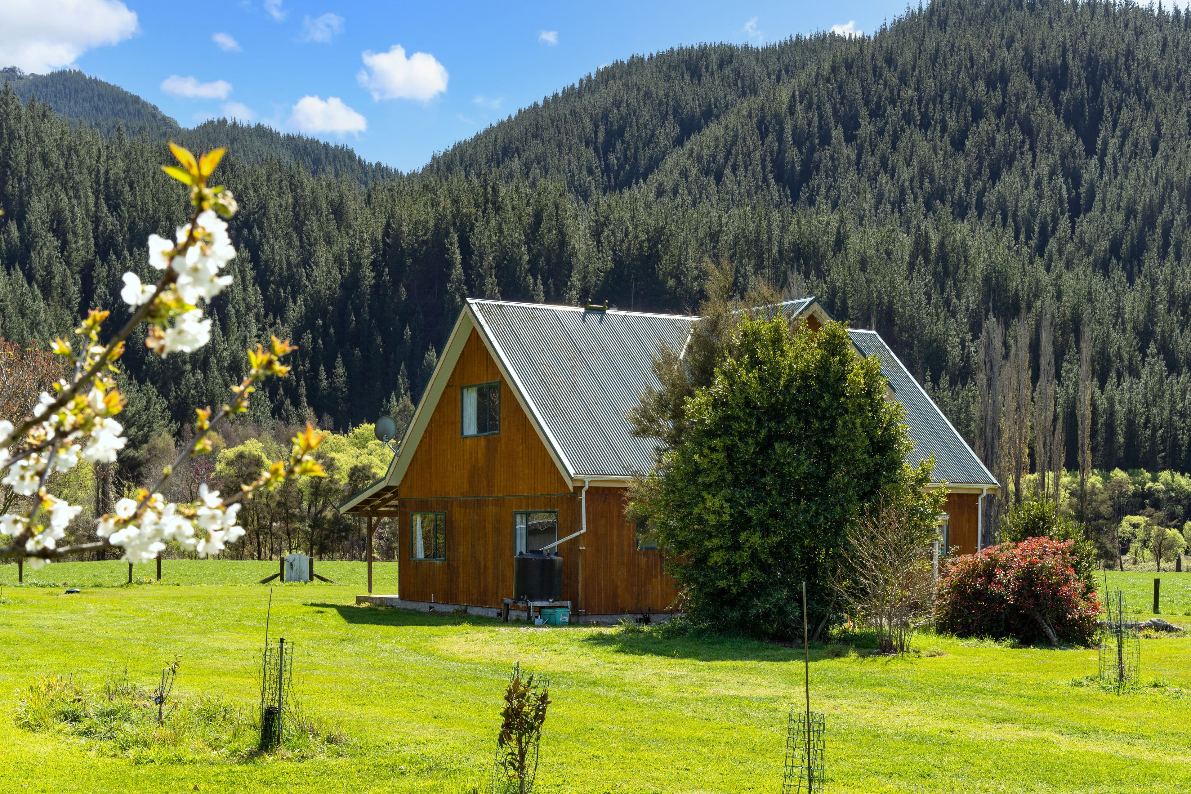 1084 Tapawera-Baton Road, Tapawera, Tasman, Nelson | Tall Poppy