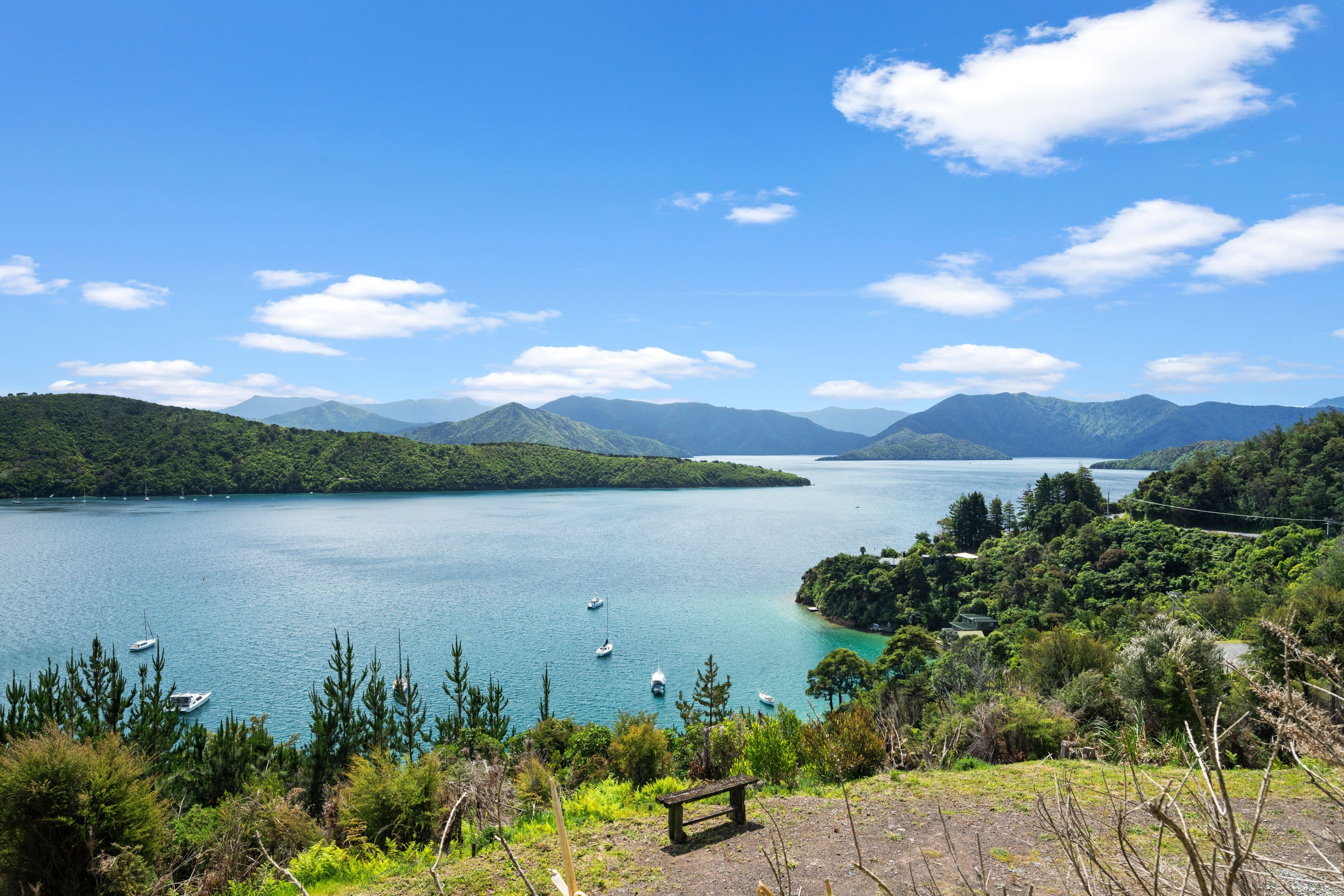126 Port Underwood Road, Waikawa, Picton, Marlborough | Tall Poppy